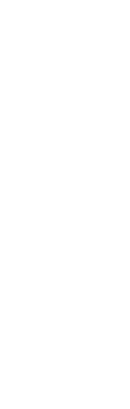 Apiros_avivir_zue_iconos_caracteristicas_de_cada_proyecto_esmeralda