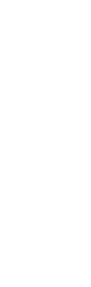 Apiros_avivir_zue_iconos_caracteristicas_de_cada_proyecto_esmeralda_1