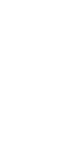 Apiros_avivir_zue_iconos_caracteristicas_de_cada_proyecto_esmeralda_2