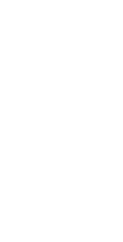 Apiros_avivir_zue_iconos_caracteristicas_de_cada_proyecto_esmeralda_2