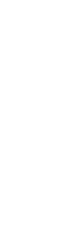Apiros_avivir_zue_iconos_caracteristicas_de_cada_proyecto_magenta