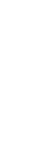 Apiros_avivir_zue_iconos_caracteristicas_de_cada_proyecto_magenta_1